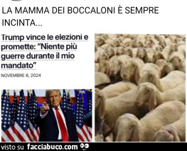 Vaccata