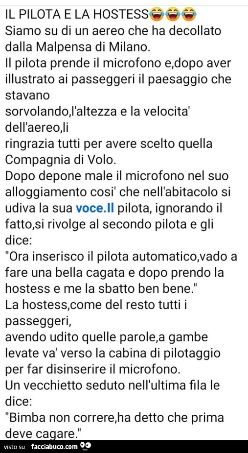 Il pilota e la hostess. Siamo su di un aereo che ha decollato dalla malpensa di milano