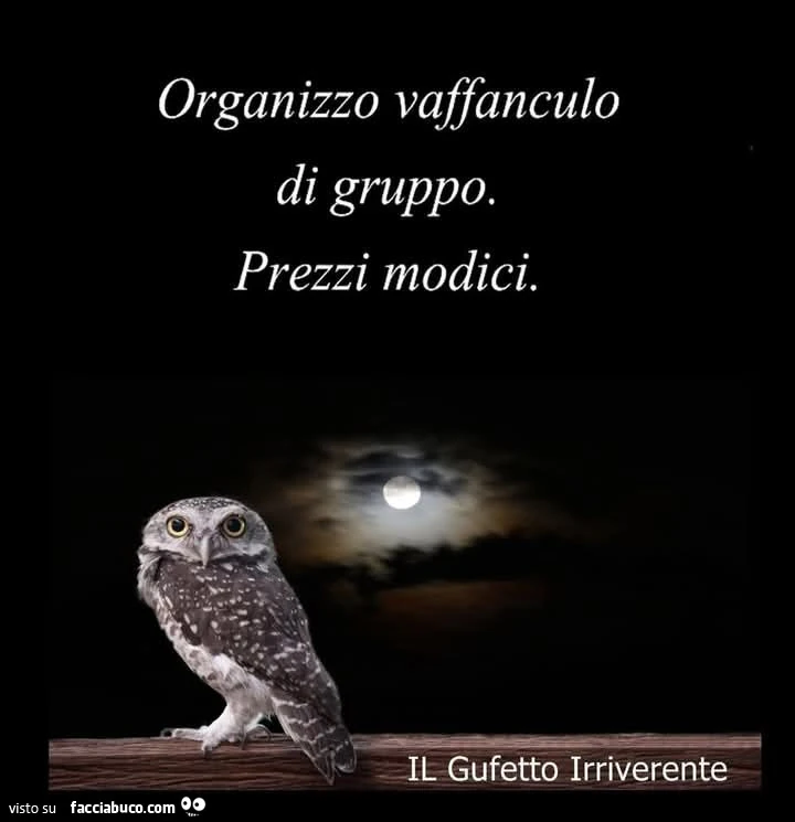 Organizzo vaffanculo di gruppo. Prezzi modici