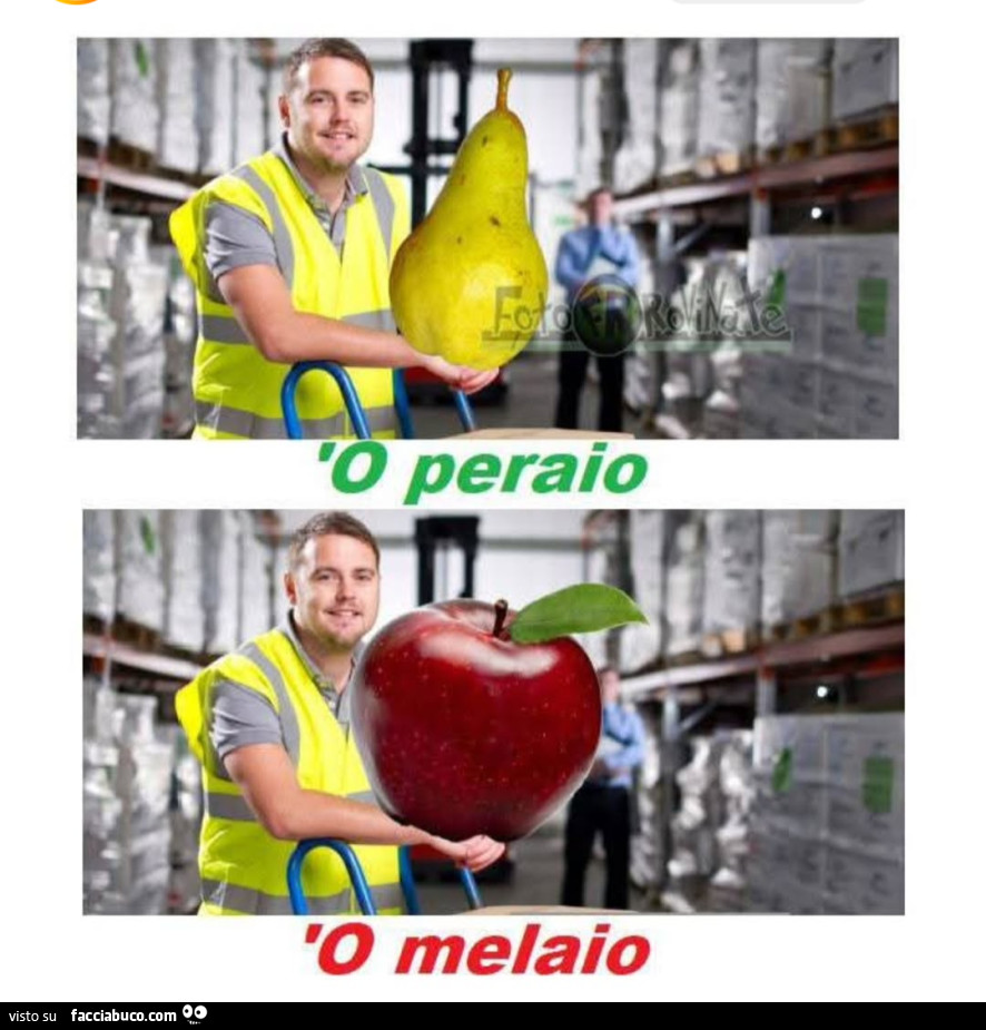 Vaccata