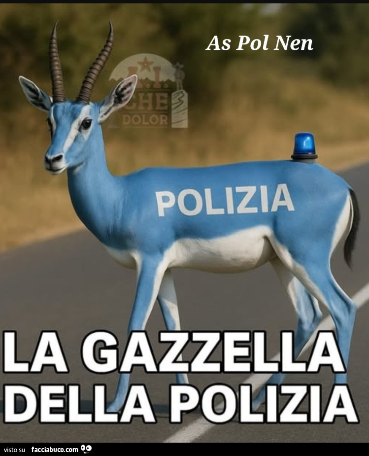 Gazzella dipinta di blu come la macchina della polizia