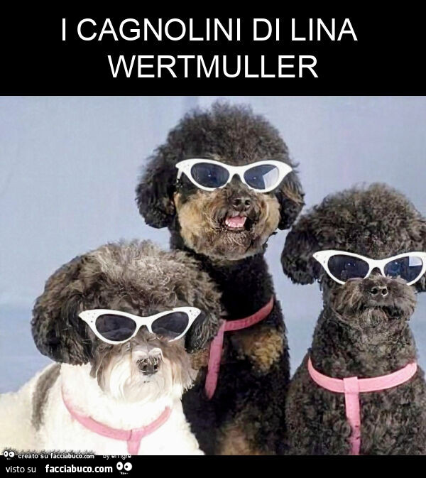 I cagnolini di lina wertmuller