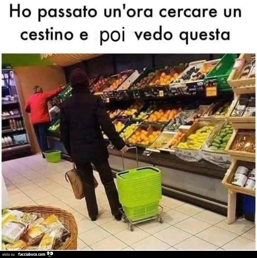 Vaccata