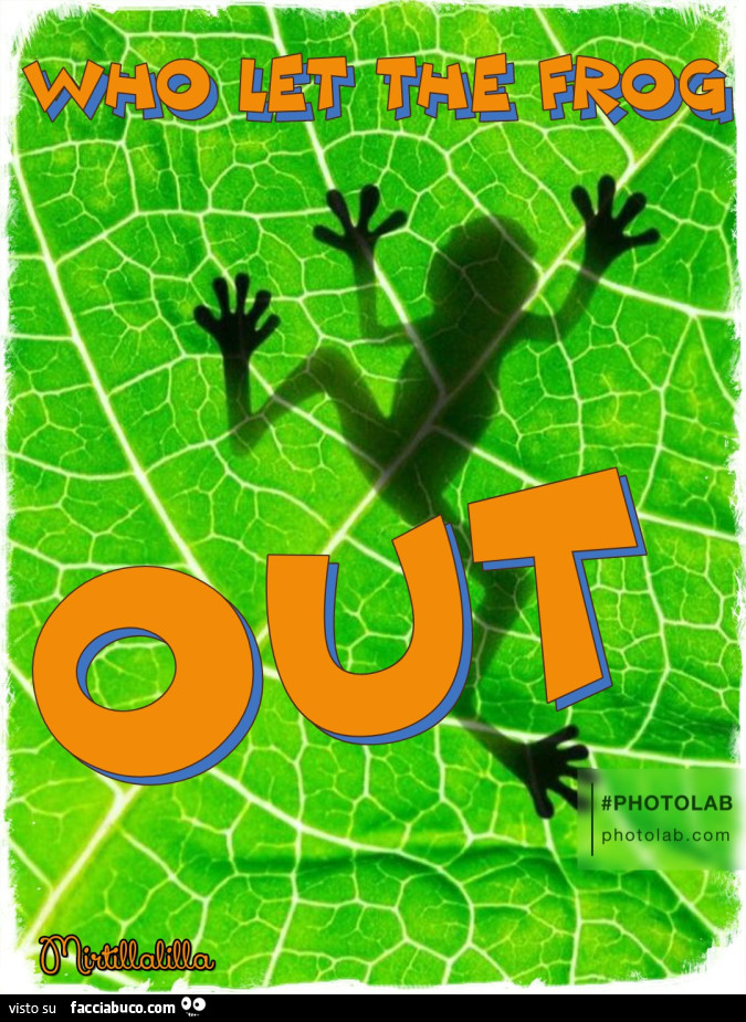 The frog out