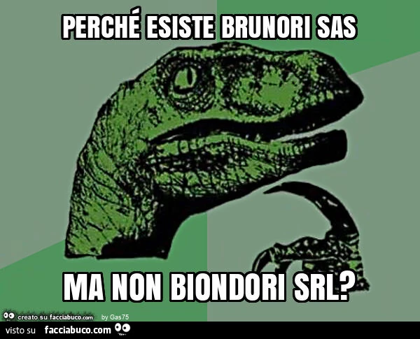 Perché esiste brunori sas ma non biondori srl?