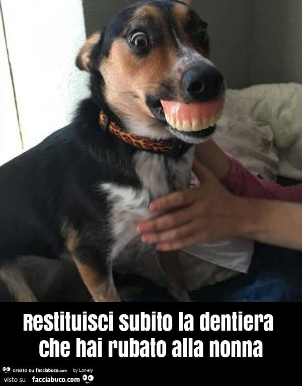 Restituisci subito la dentiera che hai rubato alla nonna