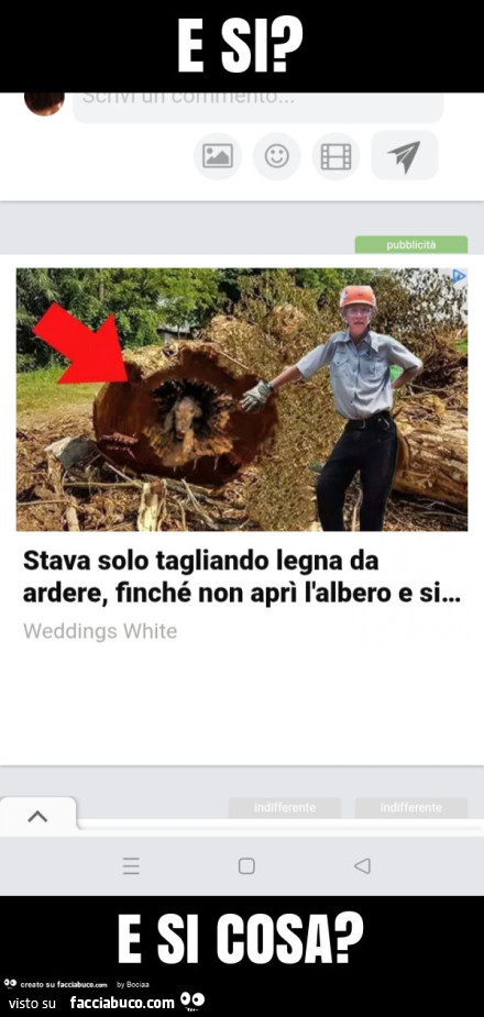 E si? E si cosa?