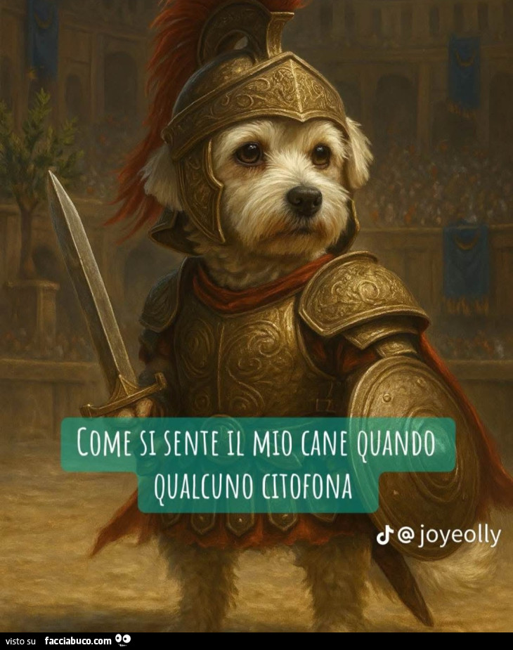 Come si sente il mio cane quando qualcuno citofona