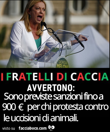 Giorgia Meloni