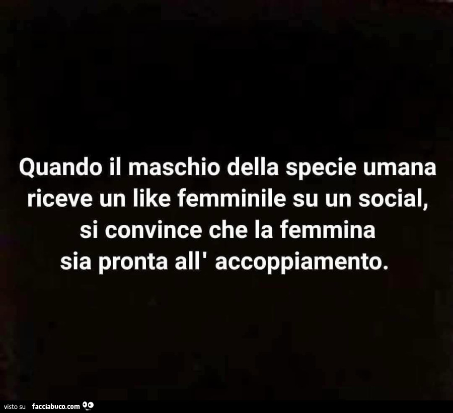 Quando il maschio della specie umana riceve un like femminile su un social, si convince che la femmina sia pronta all'accoppiamento
