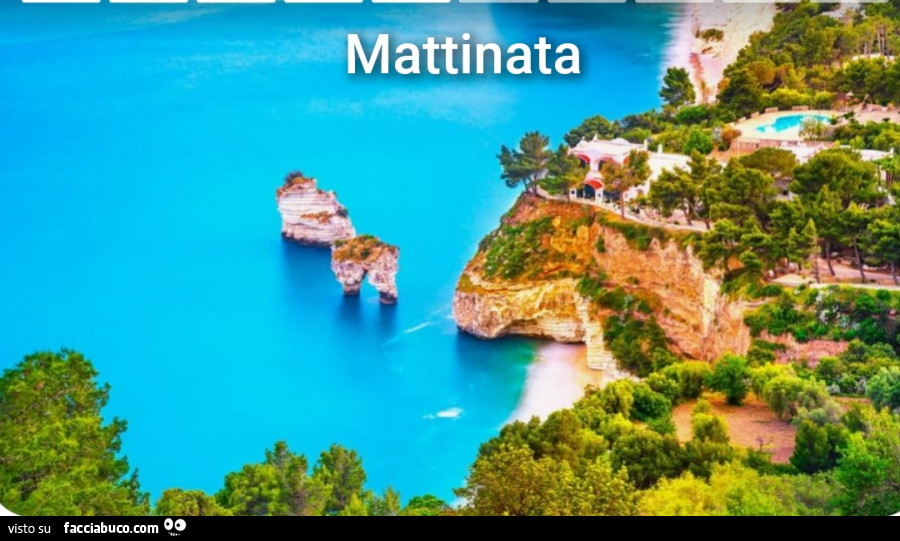 Mare