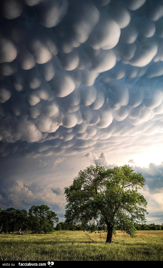 Incredibili nuvole Mammatus fotografate in Oklahoma, maggio 2022