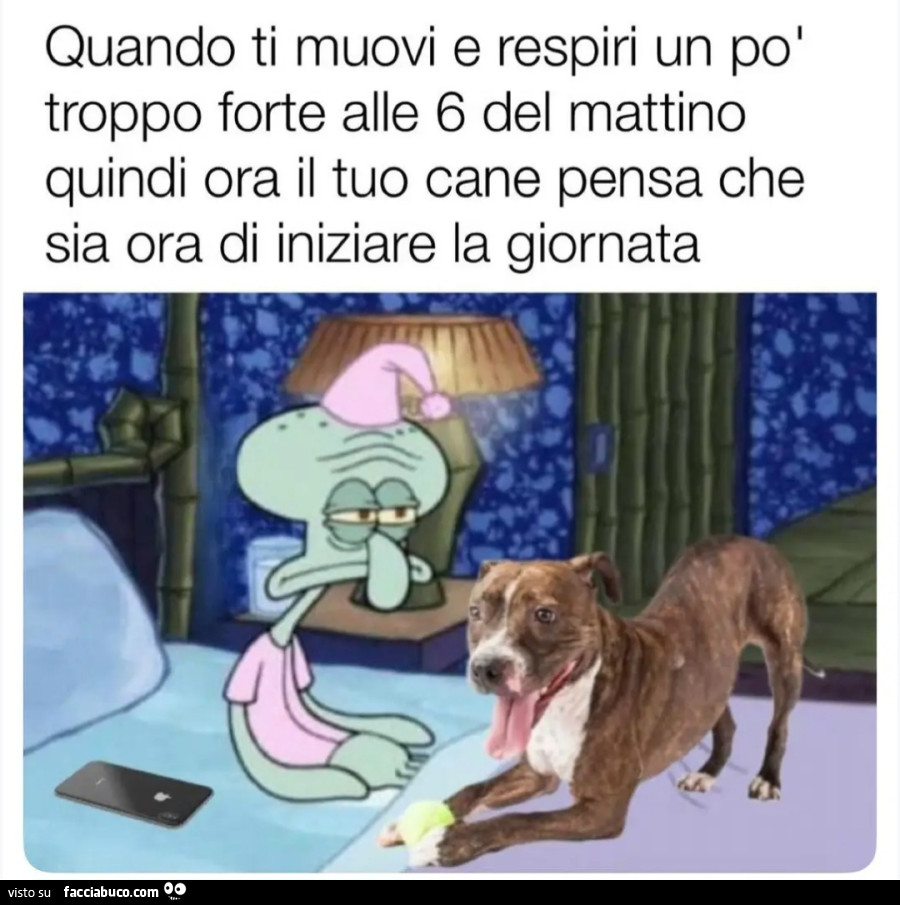 Quando ti muovi e respiri un po' troppo forte alle 6 del mattino quindi ora il tuo cane pensa che sia ora di iniziare la giornata