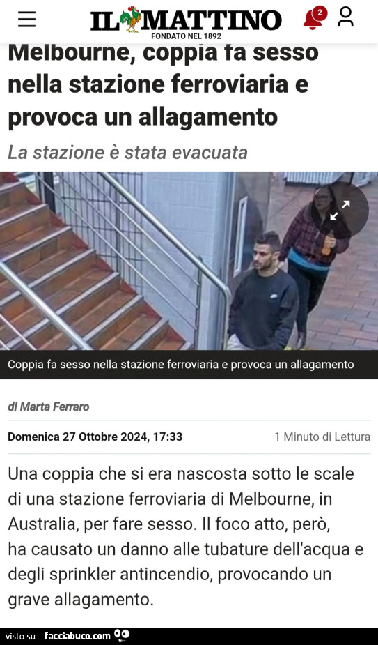 Vaccata