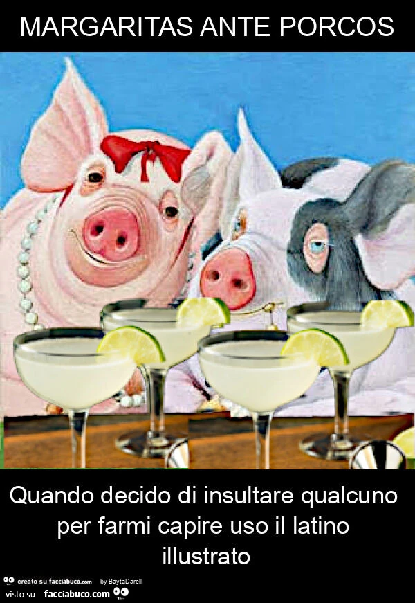 Margaritas ante porcos quando decido di insultare qualcuno per farmi capire uso il latino illustrato