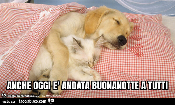 Anche oggi è andata buonanotte a tutti