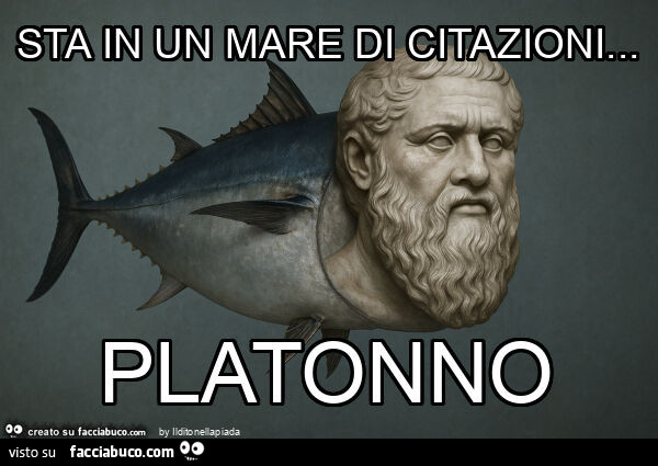 Sta in un mare di citazioni… platonno