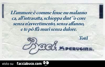 Ll'ammore è comme fosse nu malanno ca, all'intrasatta, schioppa dint' o core senza n avvertimento, senza affanno e te po' murì senza dulore. Totò