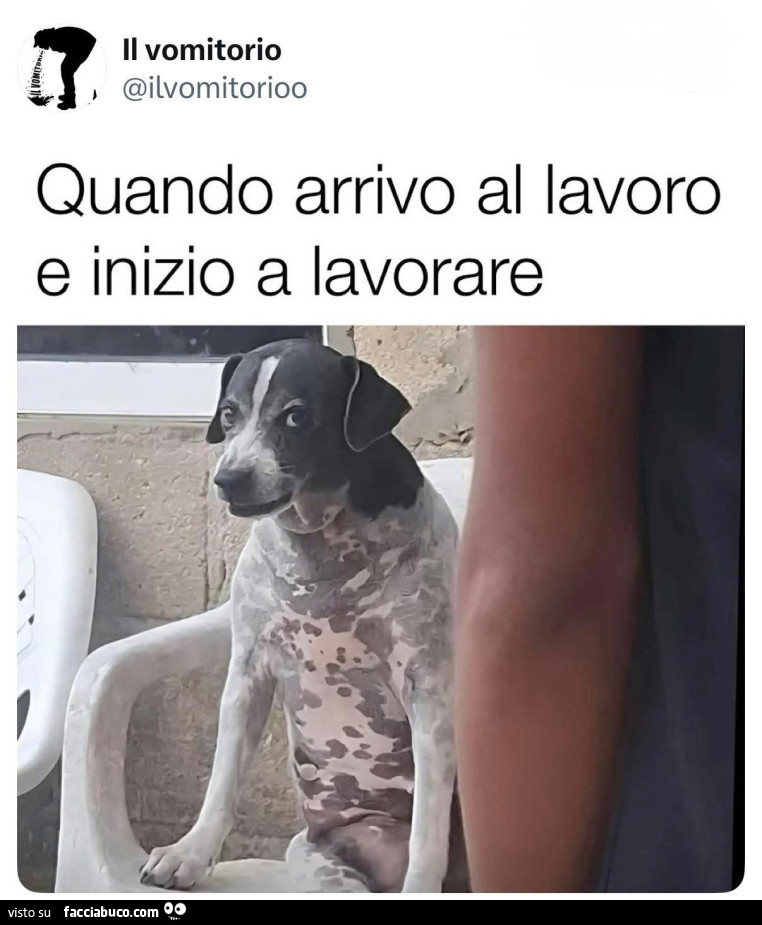 Vaccata