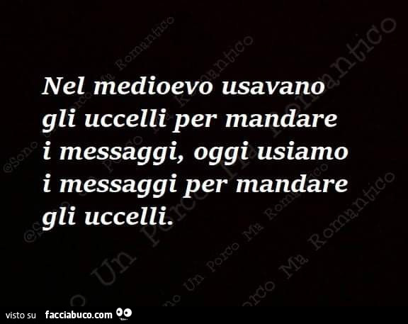 Nel medioevo usavano gli uccelli per mandare i messaggi, oggi usiamo i messaggi per mandare gli uccelli