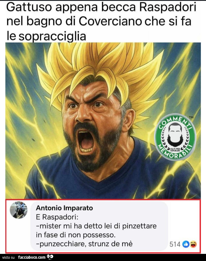 Vaccata