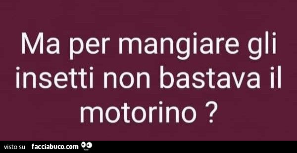Ma per mangiare gli insetti non bastava il motorino?