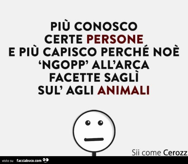 Più conosco certe persone e più capisco perché noè 'ngopp' all'arca facette sagli sul' agli animali