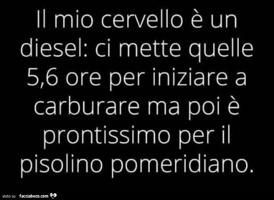 Il mio cervello è un diesel: ci mette quelle 5,6 ore per iniziare a carburare ma poi è prontissimo per il pisolino pomeridiano