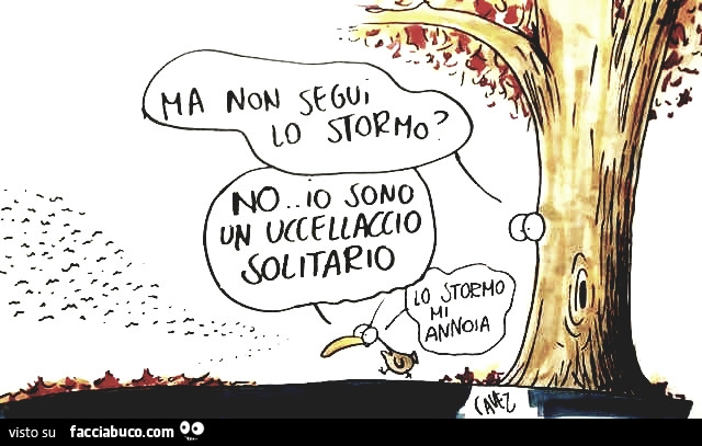 Cavez. Ma non segui lo stormo?