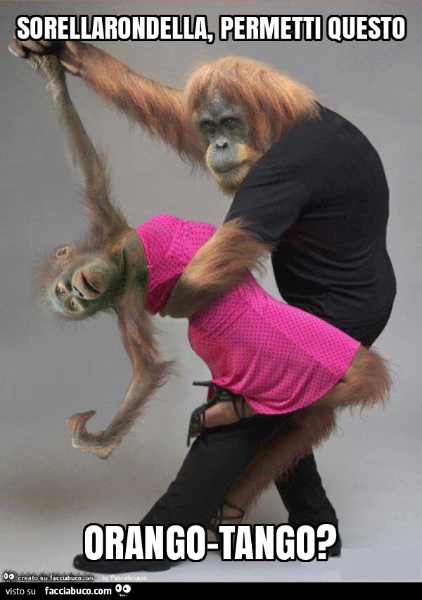 Sorellarondella, permetti questo orango-tango?