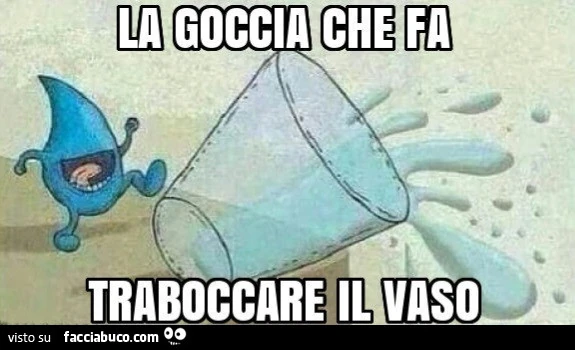Vaccata