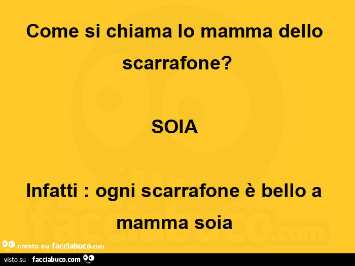 Come si chiama lo mamma dello scarrafone? Soia  infatti: ogni scarrafone è bello a mamma soia 