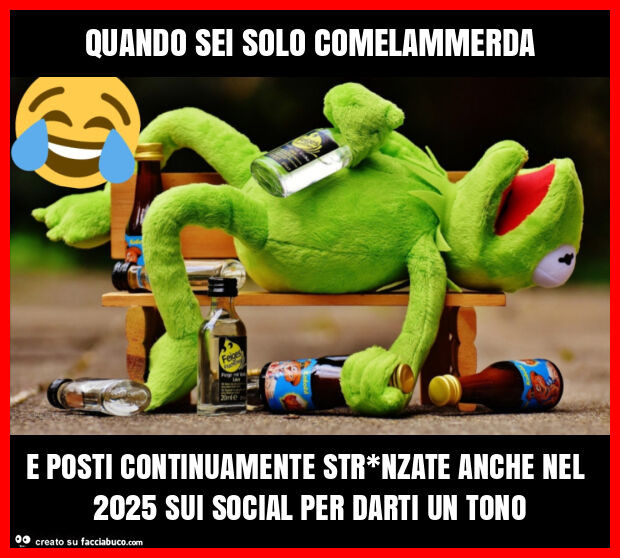 Quando sei solo comelammerda e posti continuamente str*nzate anche nel 2025 sui social per darti un tono