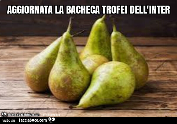 Aggiornata la bacheca trofei dell'inter