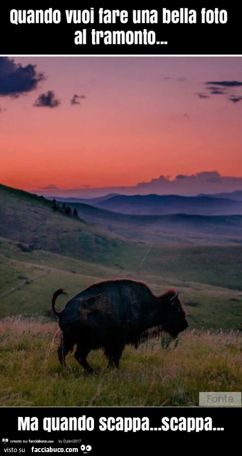 Quando vuoi fare una bella foto al tramonto… ma quando scappa… scappa