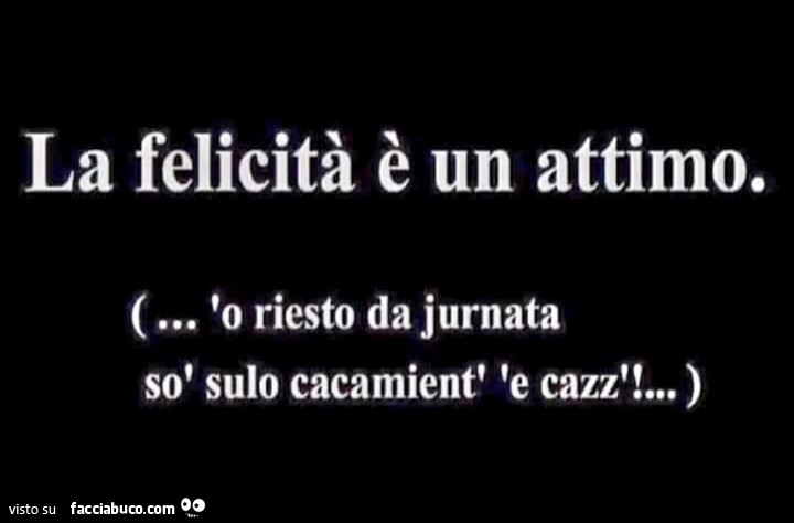 La felicita è un attimo. O riesto da jurnata sò sulo cacamientt 'e cazz