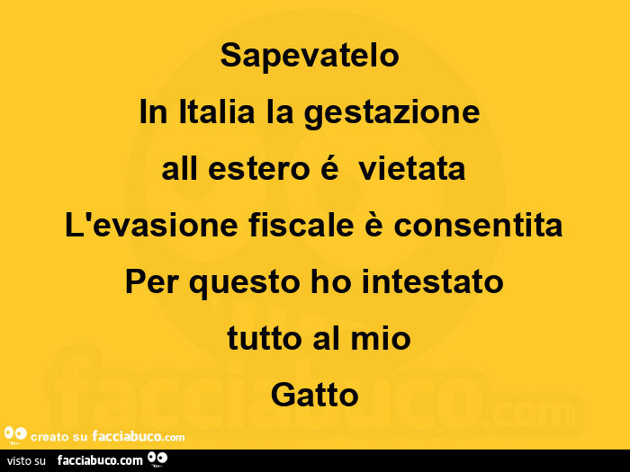 Sapevatelo In Italia la gestazione all estero é vietata L'evasione fiscale è consentita Per questo ho intestato tutto al mio Gatto