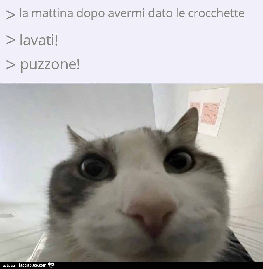 Vaccata