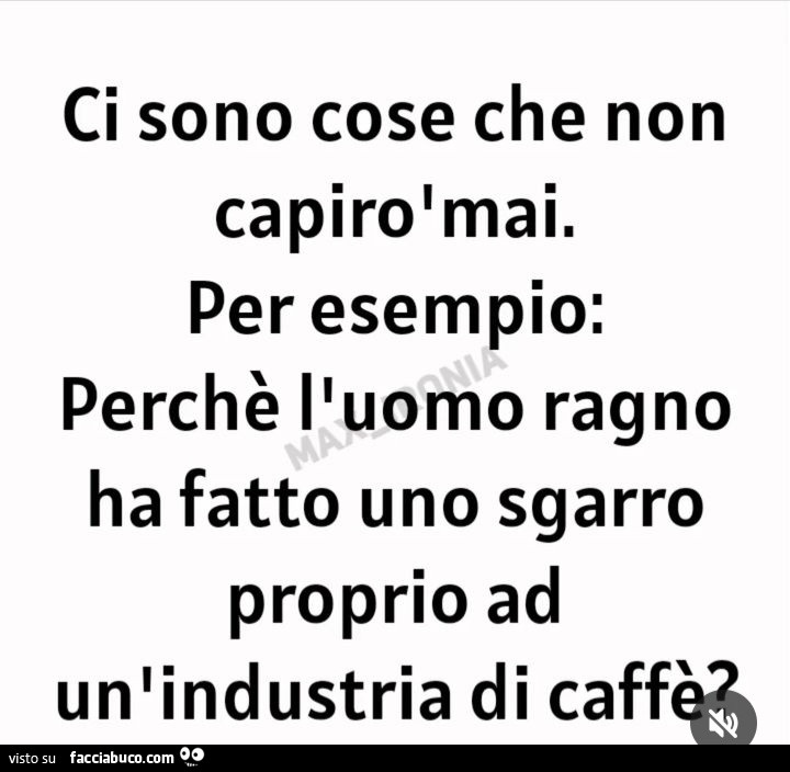 Ci sono cose che non capirò mai. Per esempio: perchè l'uomo ragno ha fatto uno sgarro proprio ad un'industria di caffè?