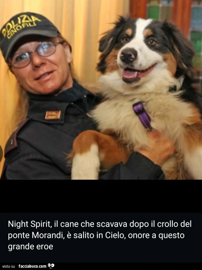 Morto Night Spirit, il cane poliziotto che riuscì a salvare 6 persone dopo il crollo del ponte Morandi a Genova