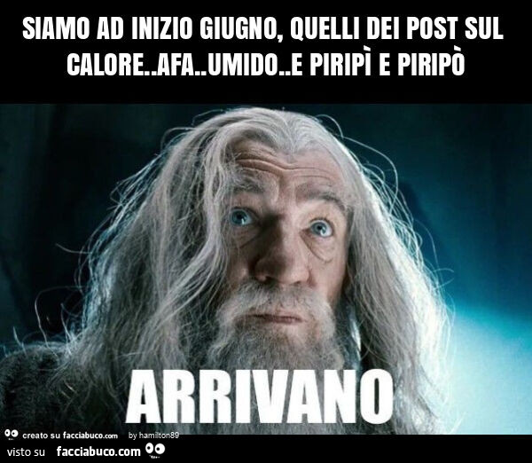 Siamo ad inizio giugno, quelli dei post sul calore. Afa. Umido. E piripì e piripò