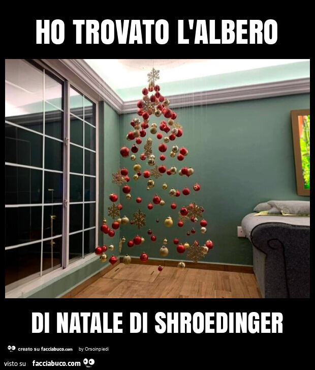 Ho trovato l'albero di natale di shroedinger