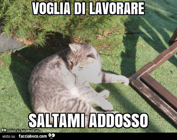 Vaccata