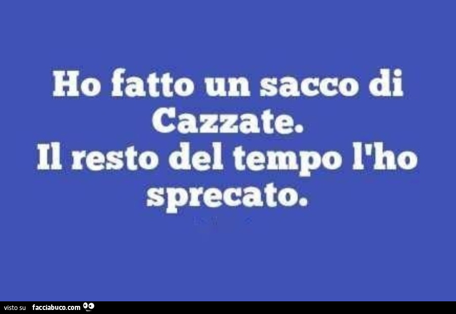 Ho fatto un sacco di cazzate. Il resto del tempo l'ho sprecato