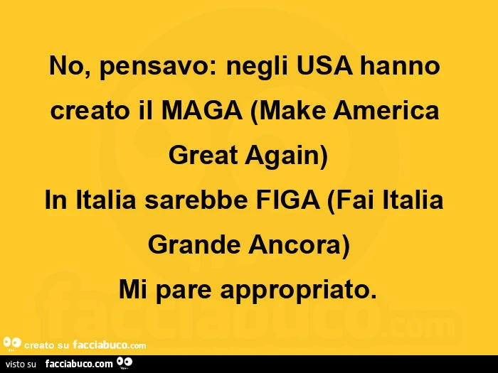 No, pensavo: negli usa hanno creato il maga (make america great again) in italia sarebbe figa (fai italia grande ancora) mi pare appropriato