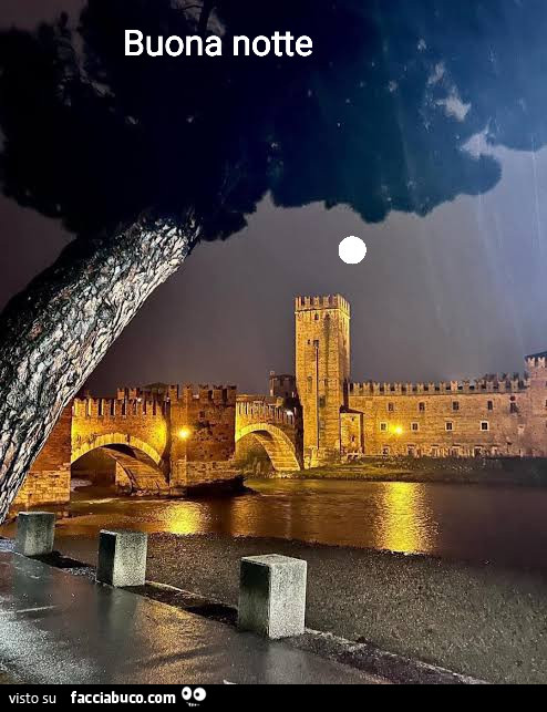 Bionanotte