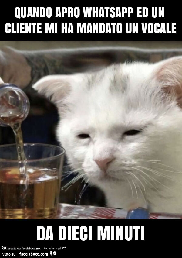 Quando apro whatsapp ed un cliente mi ha mandato un vocale da dieci minuti