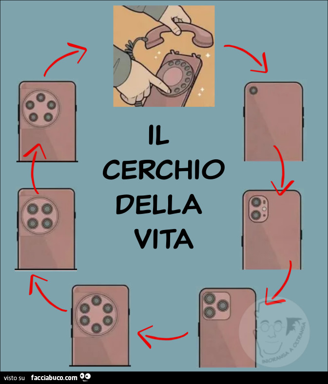 IL cerchio della vita