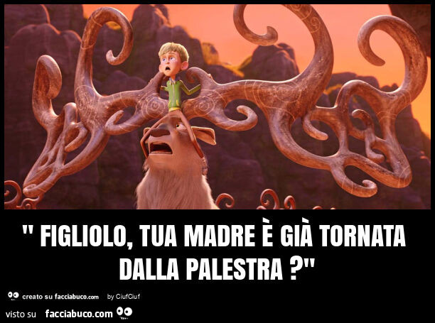 " figliolo, tua madre è già tornata dalla palestra? "