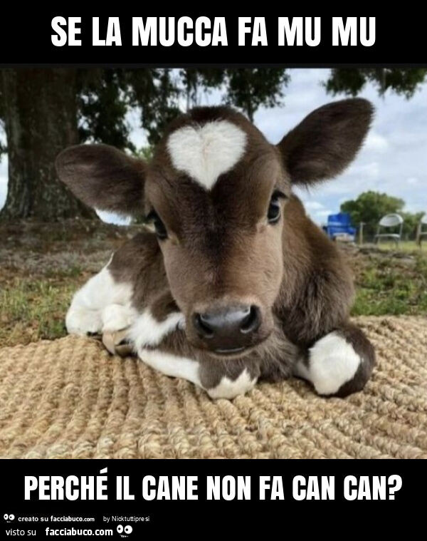 Se la mucca fa mu mu perché il cane non fa can can?